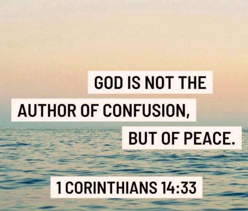 photo_2023-06-10_19-30-36