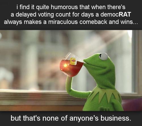 delayed vote counting for days00