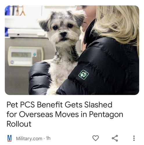 Screenshot_20230621-163805_Google