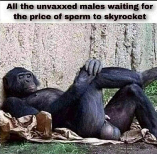 unvaxxed males sperm