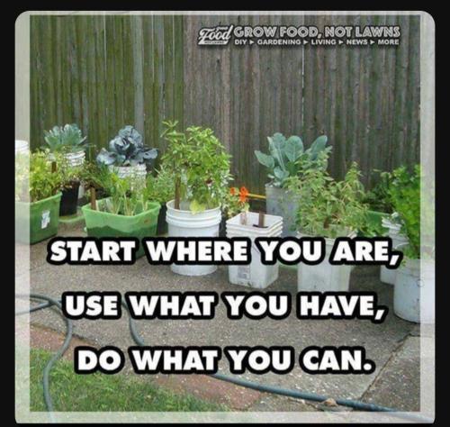 Screenshot_20230606_075636_YouTube