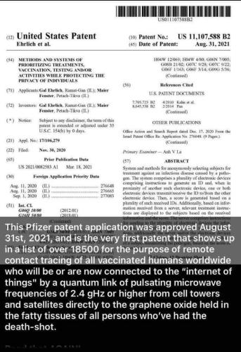 FB_IMG_1687214822173