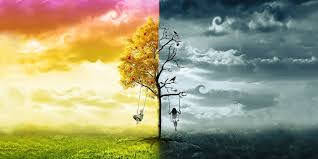 images (14)_Original