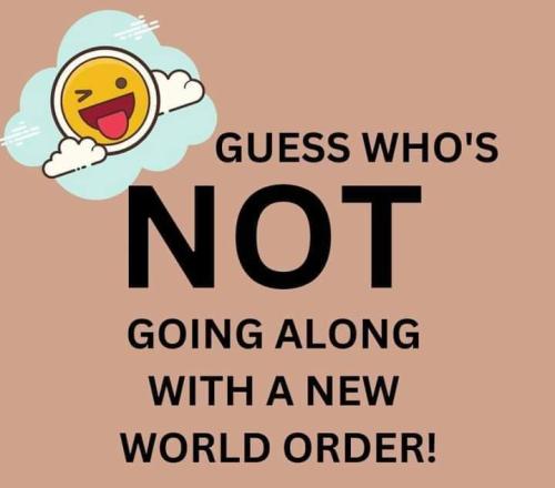 FB_IMG_1686167814650