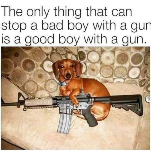 FB_IMG_1687052599367