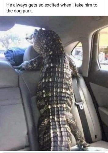 FB_IMG_1686076081995