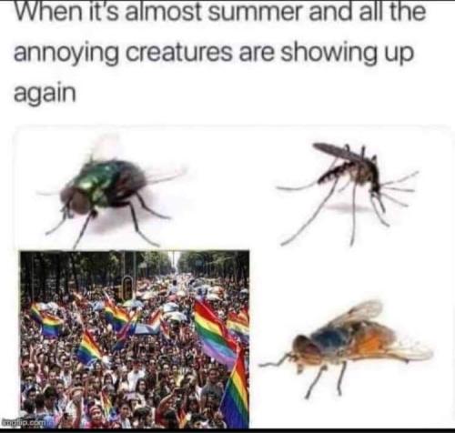 FB_IMG_1685725711342