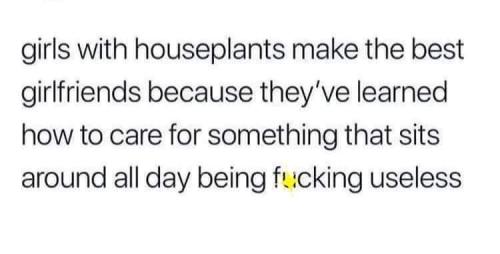 FB_IMG_1686156720242