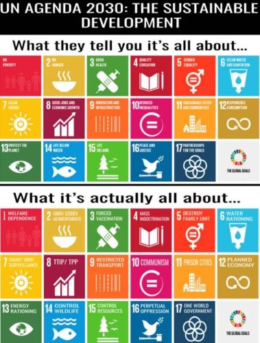 355084606_667249768577046_8762038897318094246_n