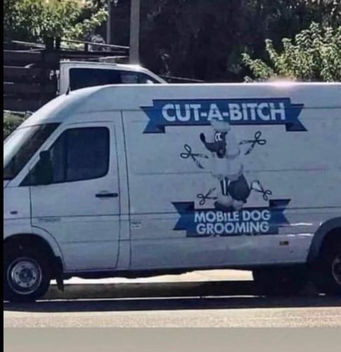 FB_IMG_1686066185981