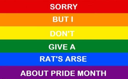 Pride 1