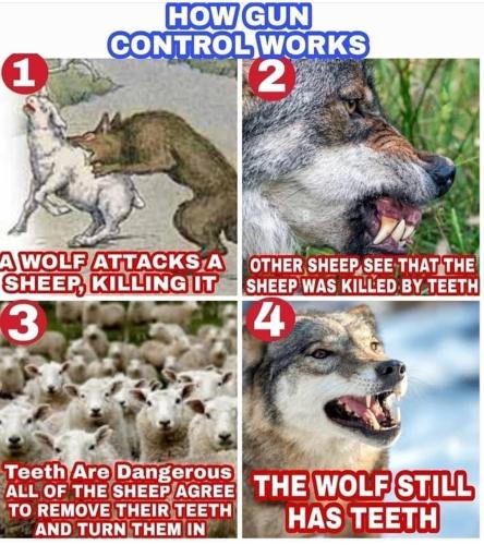 Screenshot_20230531_174542