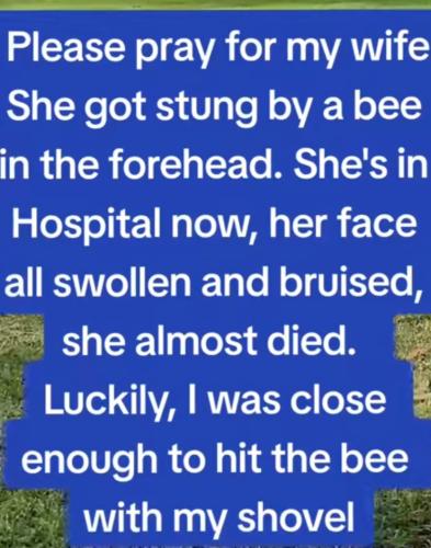 Screenshot_20230625_110329_TikTok