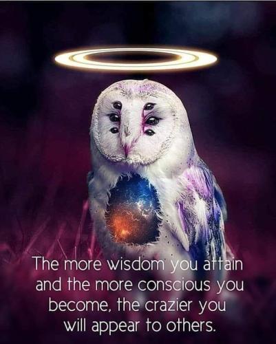 FB_IMG_1687746079914