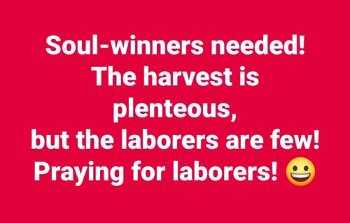 48732bdd-f717-4c4f-bb14-058273dd9913