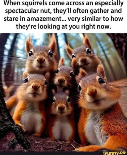 FB_IMG_1687592972126