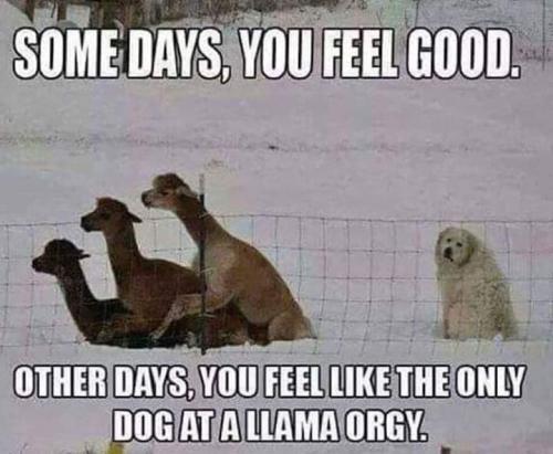 351304128_1366519503916129_5029894276063717571_n