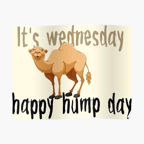 1-Hump Day