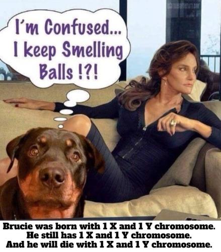 Trust the science you can't change your DNA