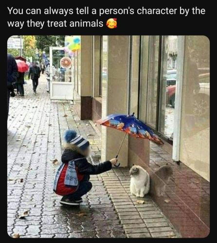 Screenshot_20230627_192419_YouTube