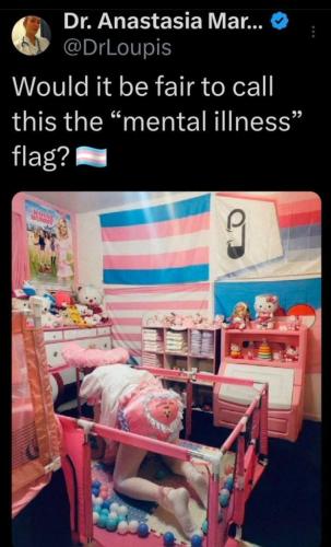 mental ill flag wim