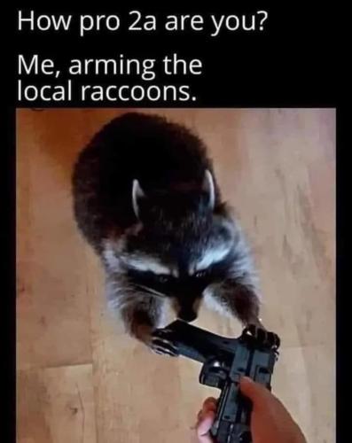 Screenshot_20230610_133023_Quora