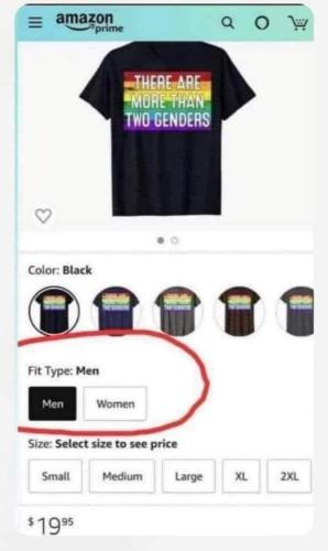 FB_IMG_1687438723354