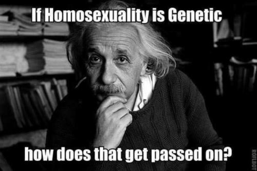 Homosexuality is not Natural