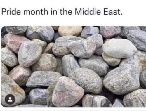 FB_IMG_1686361060068