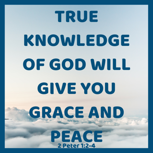 6d30cdd2a7f5c3c63a2a5da1c1b91ada