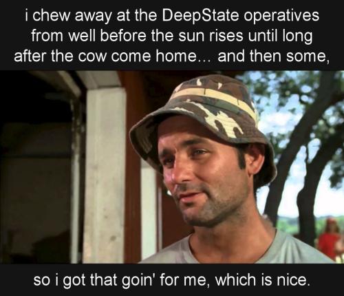 i work away at those deep state operatives