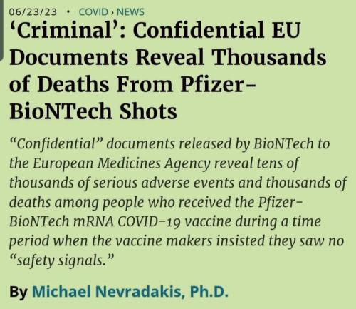 04F7B79B-1DC6-402B-91BB-EE63B32C73E0