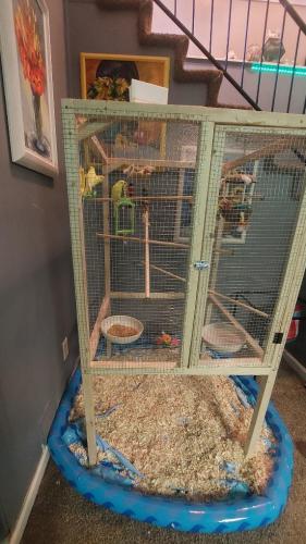 5f53884c-1474-4aaa-8c4a-d8fa3efa376e