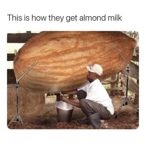 almond milk