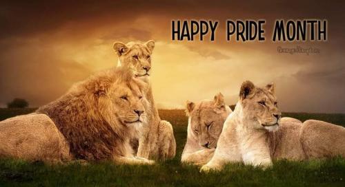 happy pride month