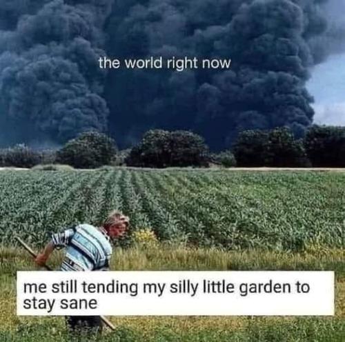 FB_IMG_1686359865027