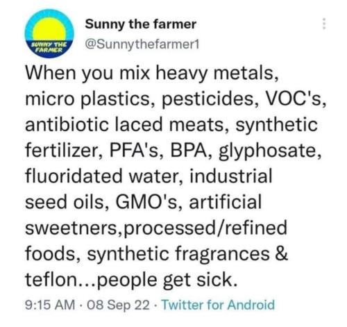 FB_IMG_1686278739291