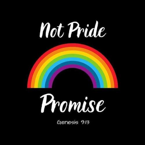 FB_IMG_1686829764345