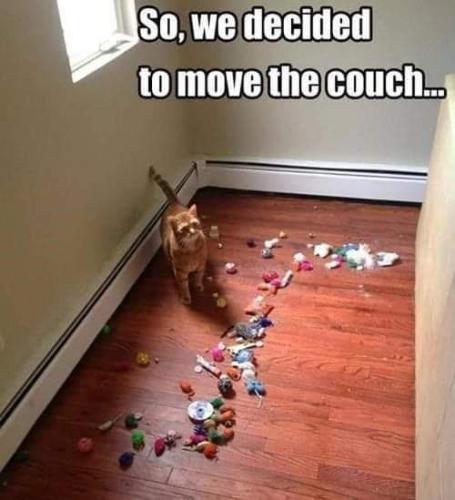 FB_IMG_1686264575139