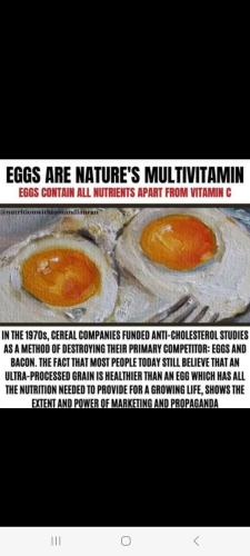 Screenshot_20230610_235940_Wimkin Free Speech Social Media