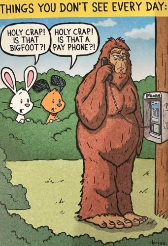 FB_IMG_1686928672972