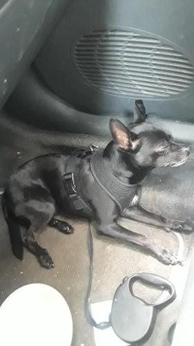 223ab3c4-7008-40ca-a9cf-62109170a89d