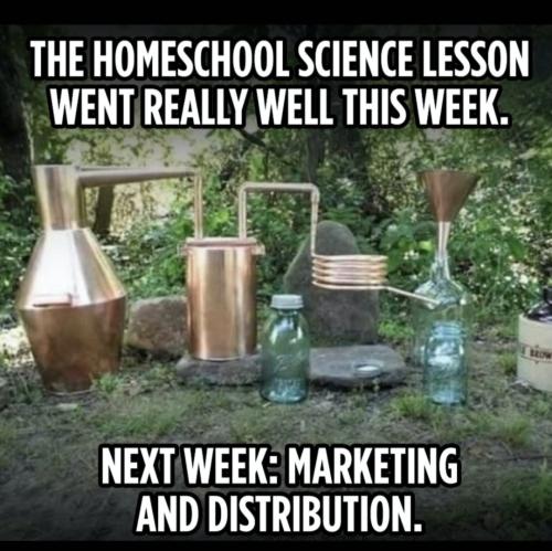 Screenshot_20230611_165218_Gallery