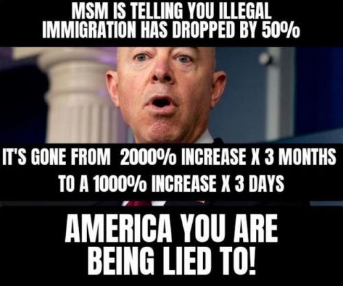 illegal immigration334