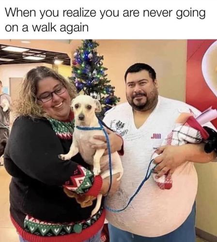 353034735_799139078455534_2804214501011899578_n