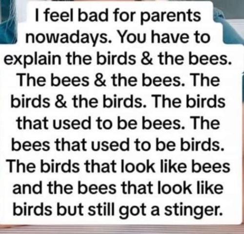 I feel bad for parents