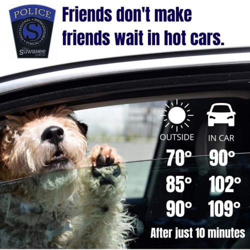 f995616d-9527-4711-a25f-4e9640765da2