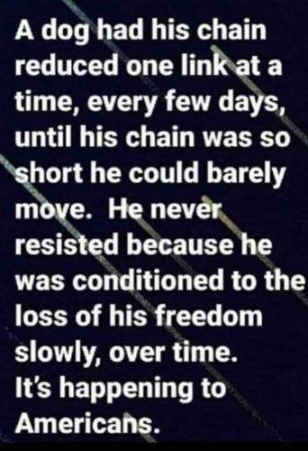 FB_IMG_1687547892529