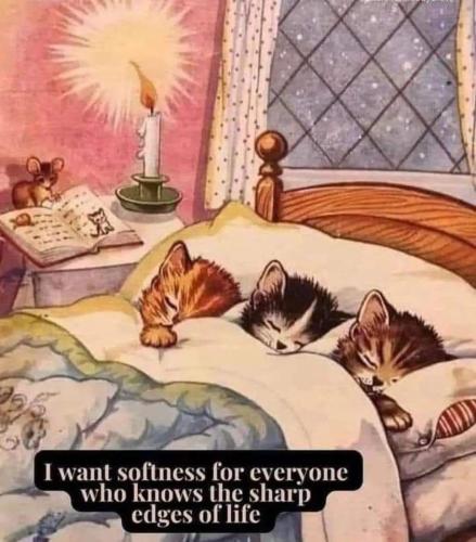 photo_2023-06-22_15-57-35