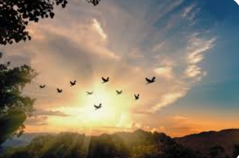 Screenshot_20230608_081547_Google